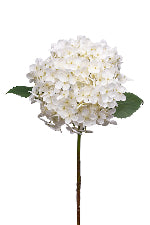 Annabelle Hydrangea Cream 63cm