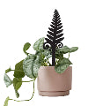 Acrylic Pot Plant Stake Fern 25cm