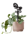 Acrylic Pot Plant Stake Fantail 25cm