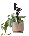 Acrylic Pot Plant Stake Pukeko 25cm Black