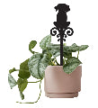 Acrylic Pot Plant Stake Dog 25cm Black