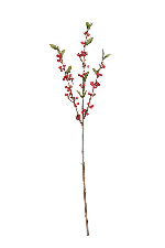 Cranberry Spray Red 61cm