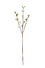 Cranberry Spray White 61cm