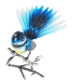 Metal Fantail Blue - Free Standing