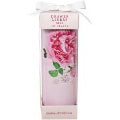 Arome Ambiance Floral Glimmer Draw Liners Rose 10pc