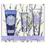 AAA Bath & Body Collection Lavender