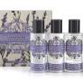 AAA Travel Set Lavender