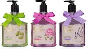 Accentra Essential Botanics Hand Soap 500ml