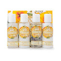 AAA Hibiscus Flower Travel Set 4pc