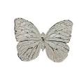 Amb. SD0007AW Butterfly Wall Decorative White