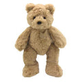Joey Bear