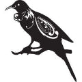 NZ Native Metal Tui 50cm