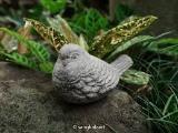 Terracota Bird 16x10