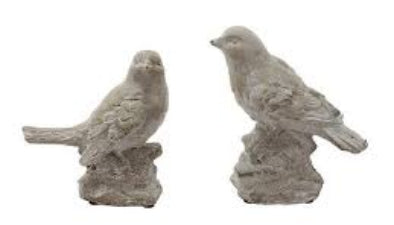 Watchful Bird