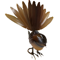 Fantail Brown -Small Metal