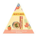 BURTS Lips & Tips Duo Sweet Peach