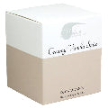 Soy Creamy Candle Vanilla Spice