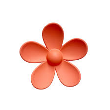 Summer Hair clips