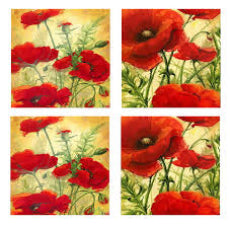 Coaster Poppies set 4