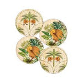 Parrs on Portage Coasters Kiwi Tropics