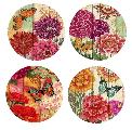 Floral Butterfly Set Coasters