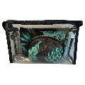 Lulu Grace Cosmetic Bag Floral Black