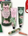 DB Tropical Palms Hand & Nail Gift Set