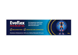 Evoflex Pain Relief Gel 30g