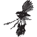 Metal Fantail On Kowhai 50cm