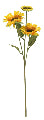 Yellow Sun Flower Stems