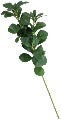 Artifical Fiscus Leaves