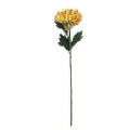 Chrysantemum Yellow Stem 56cm