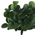 Artifcial Greenery Branch