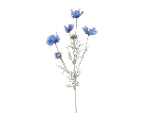 Cosmos Spray Bright Blue