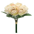 Champange Rose Bouquet