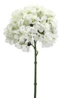 Artificial Hydrangea - Cream