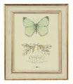 Photo Frame IVORY Hailey