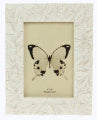 Leaves Collage Photoframe