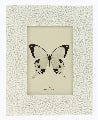 Very Fine Petals Photoframe 4x6