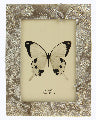 Photo Frame Dragonfly & Flowers 4x6
