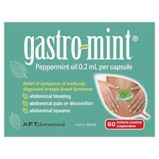 Gastro Mint 60s