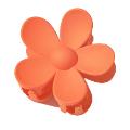 Summer Hair clips