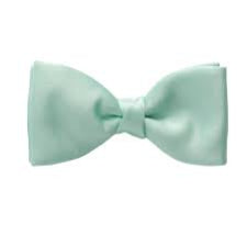 Mita Clip Satin Polka Dot Bow