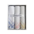 Pastel Border Handkerchief