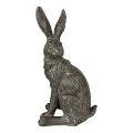 Truffle Country Hare Grey Junior