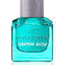 Hollister Canyon Rush Him EDT 50ml