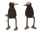 Kiwis Dangling Legs