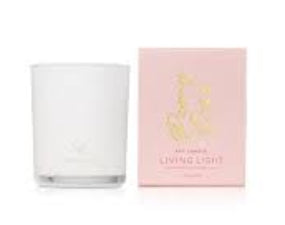 Little Light For You Peony Rose Mini (Tubed)