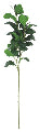 Milan Leaf Branch