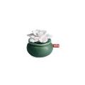 Candle Warmers Oil Diffuser  Bloom + Eucalyptus Oil